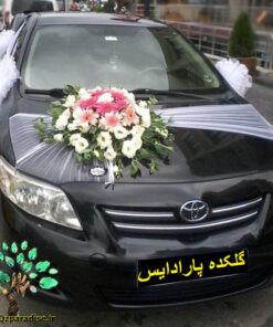 ماشین عروس با تور BCWT25 Bridal Car with Tour