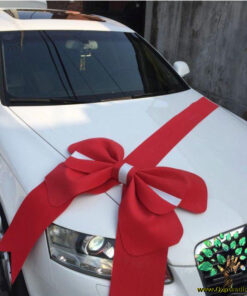 ماشین عروس با تور BCWT27 Bridal Car with Tour