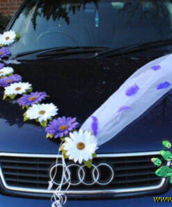 ماشین عروس با تور BCWT28 Bridal Car with Tour