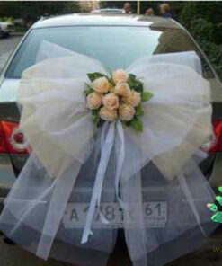 ماشین عروس با تور BCWT3 Bridal Car with Tour