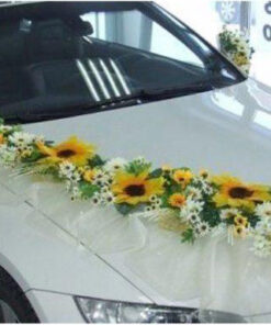 ماشین عروس با تور BCWT32 Bridal Car with Tour