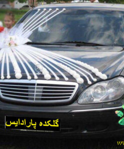 ماشین عروس با تور BCWT33 Bridal Car with Tour