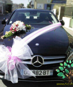 ماشین عروس با تور BCWT43 Bridal Car with Tour