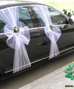 ماشین عروس با تور BCWT52 Bridal Car with Tour