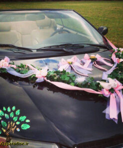 ماشین عروس با تور BCWT54 Bridal Car with Tour