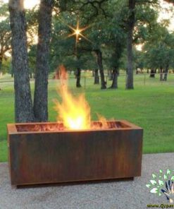 آتشکده F19 Fireplace