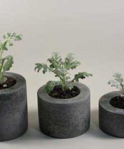 گلدان بتنی CP106 Concrete pots