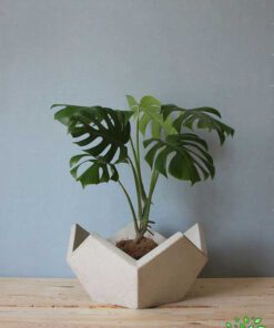 گلدان بتنی CP10 Concrete pots