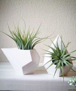 گلدان بتنی CP113 Concrete pots