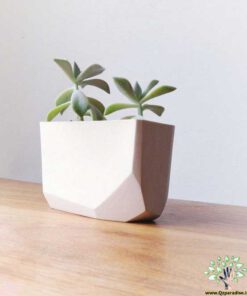 گلدان بتنی CP116 Concrete pots