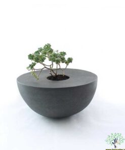 گلدان بتنی CP118 Concrete pots