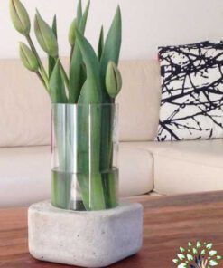 گلدان بتنی CP125 Concrete pots