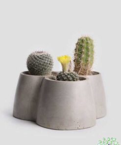 گلدان بتنی CP130 Concrete pots