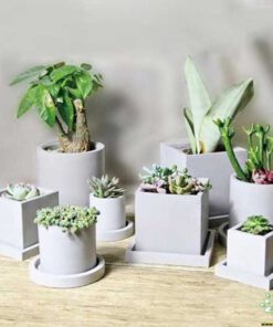 گلدان بتنی CP131 Concrete pots