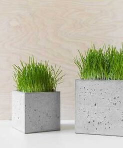 گلدان بتنی CP133 Concrete pots