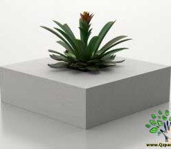گلدان بتنی CP13 Concrete pots