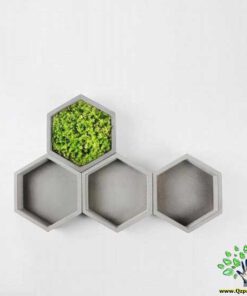 گلدان بتنی CP17 Concrete pots