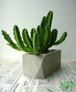گلدان بتنی CP22 Concrete pots