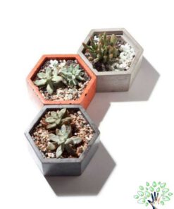گلدان بتنی CP26 Concrete pots