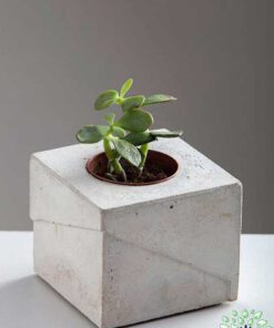 گلدان بتنی CP36 Concrete pots