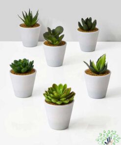 گلدان بتنی CP45 Concrete pots