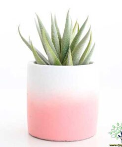 گلدان بتنی CP46 Concrete pots