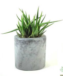 گلدان بتنی CP47 Concrete pots
