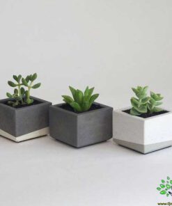گلدان بتنی CP4 Concrete pots