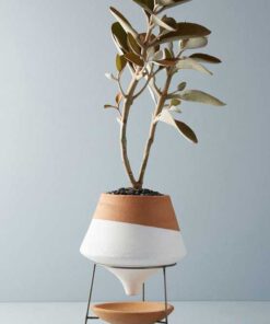 گلدان بتنی CP64 Concrete pots