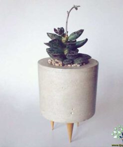 گلدان بتنی CP68 Concrete pots
