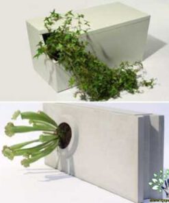 گلدان بتنی CP72 Concrete pots