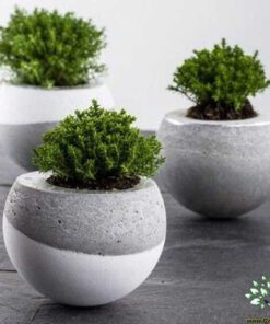 گلدان بتنی CP73 Concrete pots