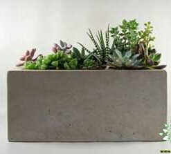گلدان بتنی CP78 Concrete pots