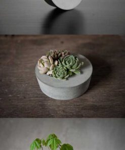 گلدان بتنی CP82 Concrete pots