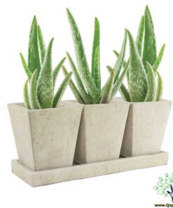 گلدان بتنی CP83 Concrete pots