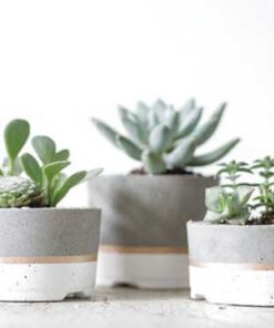 گلدان بتنی CP88 Concrete pots