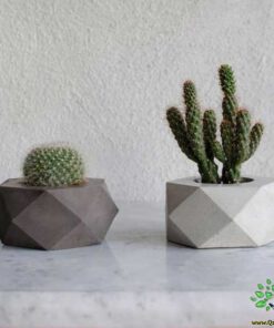 گلدان بتنی CP8 Concrete pots