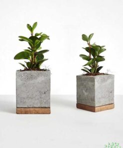 گلدان بتنی CP98 Concrete pots