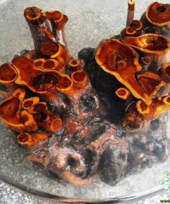 میز اپوکسی ET25 Epoxy table