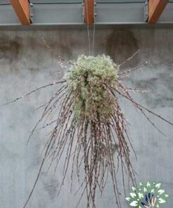 لوستر گل مصنوعی FC108 Flower chandelier