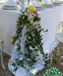 گل روی میز FOTT7 Flower on the table