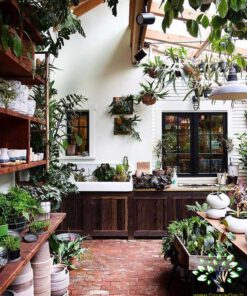 دکوراسیون فروشگاه گل FSD12 Flower shop Decoration