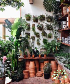 دکوراسیون فروشگاه گل FSD15 Flower shop Decoration