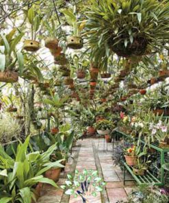 دکوراسیون فروشگاه گل FSD16 Flower shop Decoration