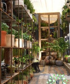 دکوراسیون فروشگاه گل FSD17 Flower shop Decoration