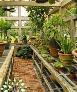 دکوراسیون فروشگاه گل FSD18 Flower shop Decoration