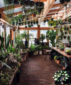 دکوراسیون فروشگاه گل FSD20 Flower shop Decoration