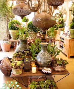 دکوراسیون فروشگاه گل FSD21 Flower shop Decoration