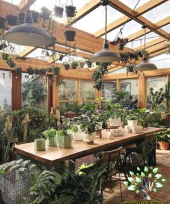 دکوراسیون فروشگاه گل FSD22 Flower shop Decoration