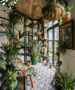 دکوراسیون فروشگاه گل FSD27 Flower shop Decoration